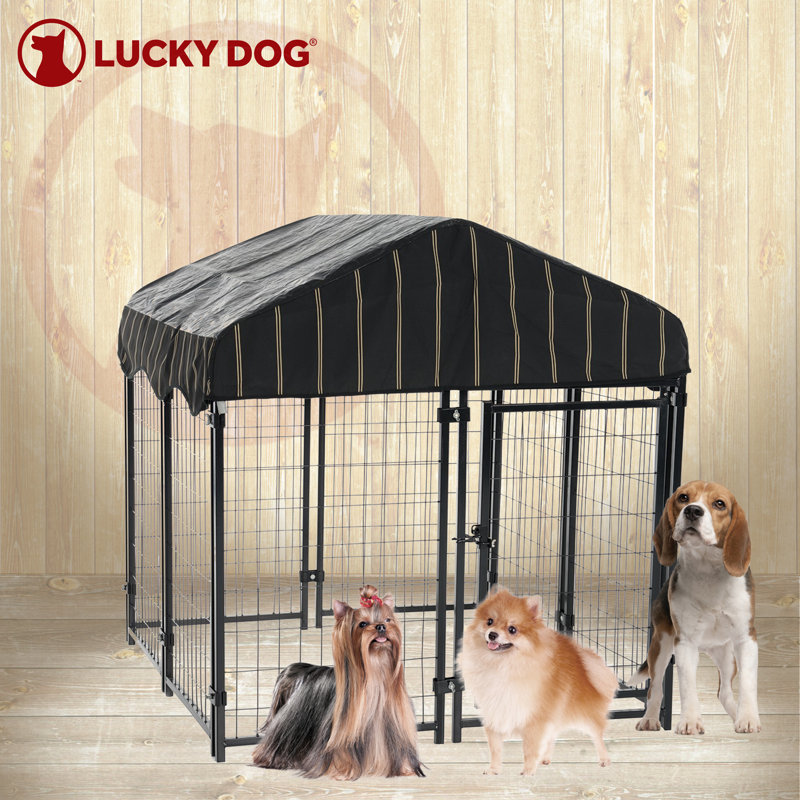 Lucky dog pet resort kennel hotsell